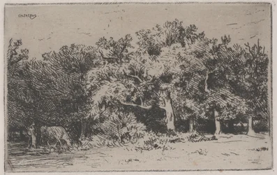 Eine Ecke des Waldes von Fontainebleau