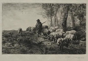 Eine Schweineherde