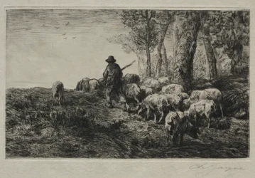 Eine Schweineherde