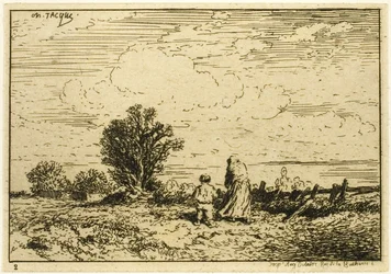 Überquerung der Wiese