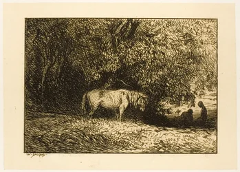 Pferd im Wald