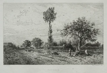 Landschaft