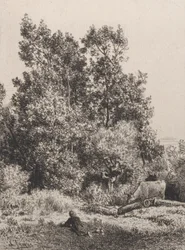 Landschaft