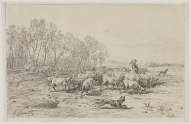 Landschaft mit einer Schafherde