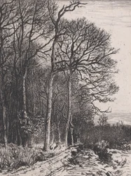Waldrand
