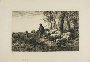 Mann mit Schweineherde