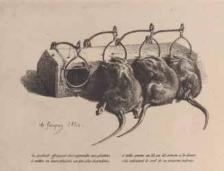 Mausefalle, 1860