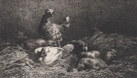 Hühner, 1867
