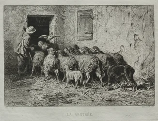 Die Rückkehr