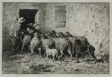 Die Rückkehr