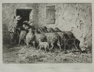 Die Rückkehr
