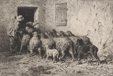 Die Rückkehr