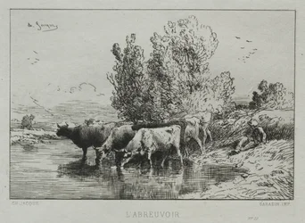 Der Wasserplatz