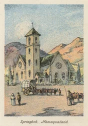 Südafrika: Springbock, Namaqualand