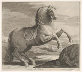 Coursier de Naple