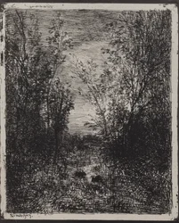Ein Bach in einer Lichtung