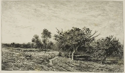 Apfelbäume in Auvers