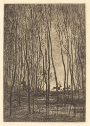 Hirsche im Wald (Les Cerfs sous bois)