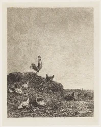 Der Gesang des Hahns