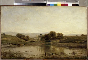 Der Teich
