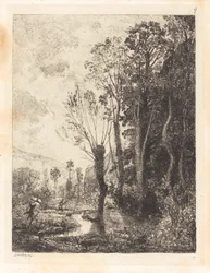 Satyr