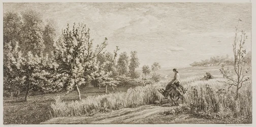 Frühling