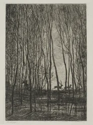 Hirsche im Wald
