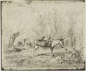 Der Esel auf der Wiese