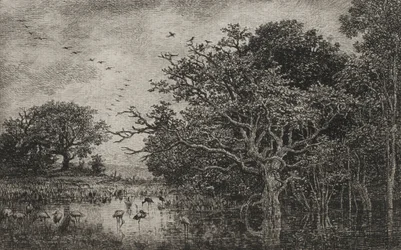 Das Moor mit Störchen, um 1851