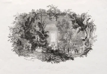 Der Wintergarten
