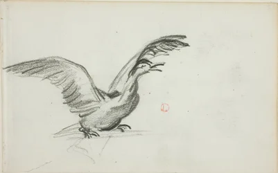 Wildes Duett (recto); Zwei stehende nackte weibliche Figuren in Nischen (verso)
