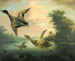 Entenjagd