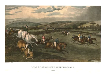 Vale of Aylesbury Steeple Chase, Platte 1