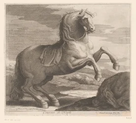 Steigendes Pferd