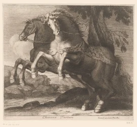 Steigernde Pferde