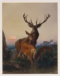 Ein Hirsch mit Rehen in einer bewaldeten Landschaft bei Sonnenuntergang, 1865