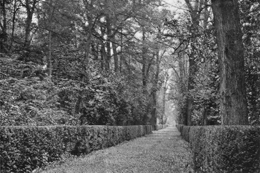 Der Hundeweg