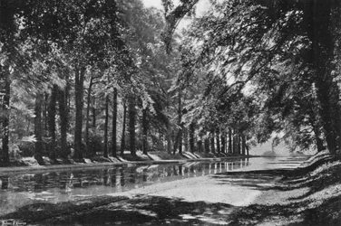 Der T-Teich