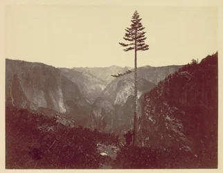 Yosemite-Tal vom Mariposa-Pfad, um 1865