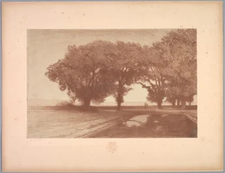 Suite de Paysages: Landschaft, Platte 8, Remarque, Stiefmütterchen, 1892-1893