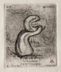 Der kränkliche Kryptogam, 1860
