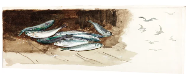 Studie von Fischen