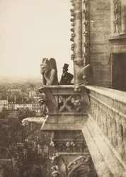 Der Vampir