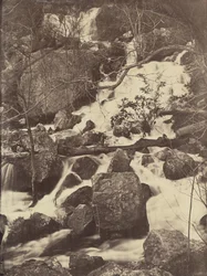 [Bäume und Wasserfälle], 1860-65