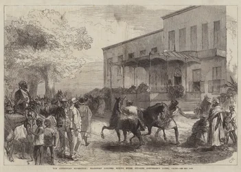 Die abessinische Expedition, Transportoffiziere kaufen Maultiere gegenüber dem Shepheard