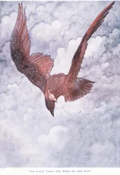 Der Adler nimmt den Zaunkönig auf ihren Rücken