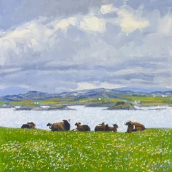 Dösende Schafe, Iona, 2015