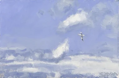 Basstölpel und Wolken, 2016