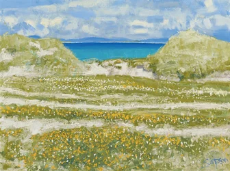 Blick auf Harris, 2014