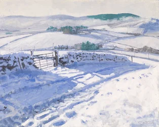 Schnee: Nebel auf den Hügeln, 2016